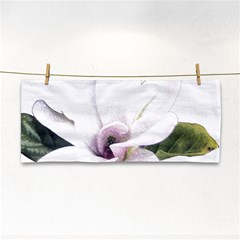 White Magnolia Pencil Drawing Art Hand Towel by picsaspassion