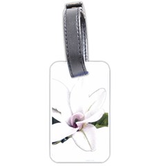 White Magnolia Pencil Drawing Art Luggage Tags (one Side) 