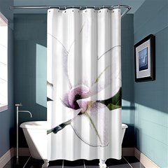 White Magnolia Pencil Drawing Art Shower Curtain 36  X 72  (stall) 