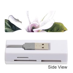 White Magnolia Pencil Drawing Art Memory Card Reader (stick)  by picsaspassion