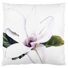 White Magnolia Pencil Drawing Art Standard Flano Cushion Case (two Sides) by picsaspassion