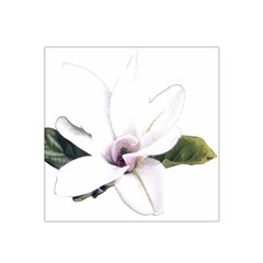 White Magnolia Pencil Drawing Art Satin Bandana Scarf by picsaspassion