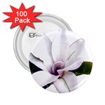 Magnolia Wit Aquarel painting art 2.25  Buttons (100 pack)  Front