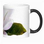 Magnolia Wit Aquarel painting art Morph Mugs Right