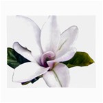 Magnolia Wit Aquarel painting art Small Glasses Cloth Front