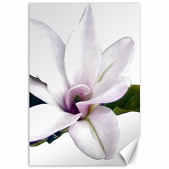 Magnolia Wit Aquarel Painting Art Canvas 12  X 18  