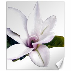 Magnolia Wit Aquarel Painting Art Canvas 20  X 24   by picsaspassion