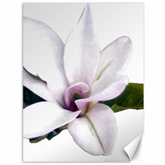 Magnolia Wit Aquarel Painting Art Canvas 36  X 48  