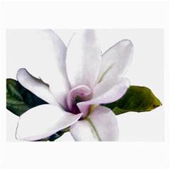 Magnolia Wit Aquarel Painting Art Large Glasses Cloth by picsaspassion