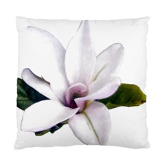 Magnolia Wit Aquarel Painting Art Standard Cushion Case (one Side)