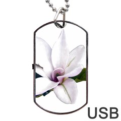 Magnolia Wit Aquarel Painting Art Dog Tag Usb Flash (one Side)