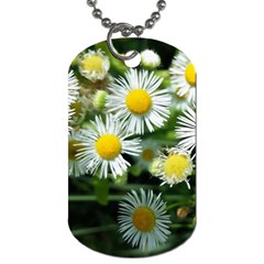 White Summer Flowers Oil Painting Art Dog Tag (two Sides) by picsaspassion