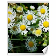 White Summer Flowers Oil Painting Art Canvas 36  X 48   by picsaspassion