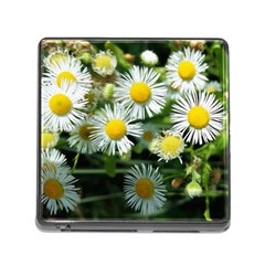 White Summer Flowers Oil Painting Art Memory Card Reader (square) by picsaspassion