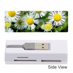 White Summer Flowers Oil Painting Art Memory Card Reader (stick)  by picsaspassion