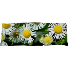 White Summer Flowers Oil Painting Art Samsung Galaxy Nexus S I9020 Hardshell Case