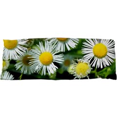 White Summer Flowers Oil Painting Art Samsung Galaxy Sl I9003 Hardshell Case