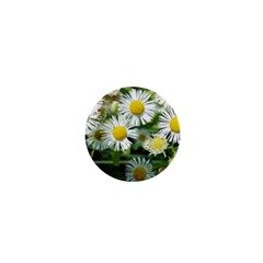 White Summer Flowers Watercolor Painting Art 1  Mini Buttons