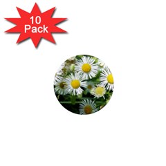 White Summer Flowers Watercolor Painting Art 1  Mini Magnet (10 Pack) 