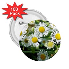 White Summer Flowers Watercolor Painting Art 2 25  Buttons (100 Pack) 