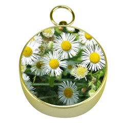 White Summer Flowers Watercolor Painting Art Gold Compasses