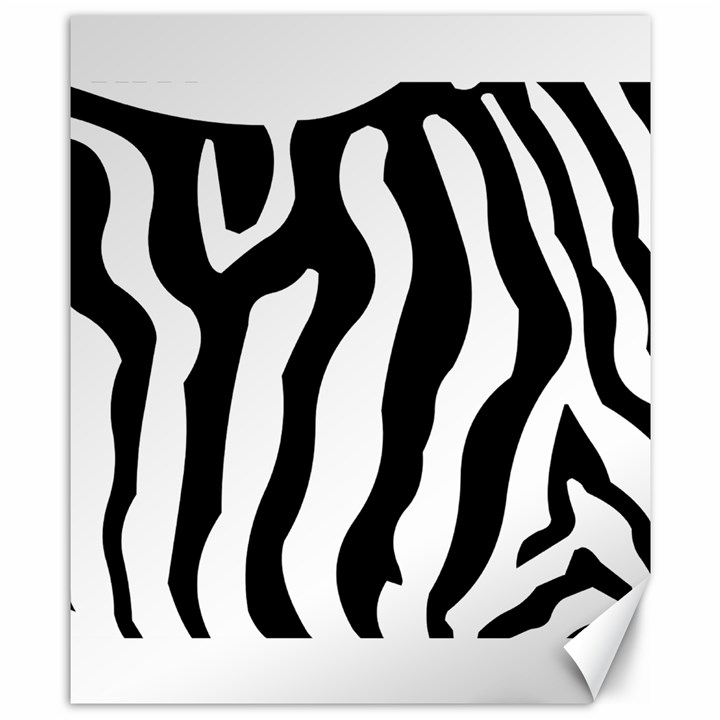 Zebra horse skin pattern black and white Canvas 8  x 10 