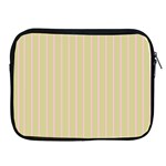 Summer sand color pink stripes Apple iPad 2/3/4 Zipper Cases Front