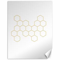 Honeycomb Pattern Graphic Design Canvas 12  X 16 