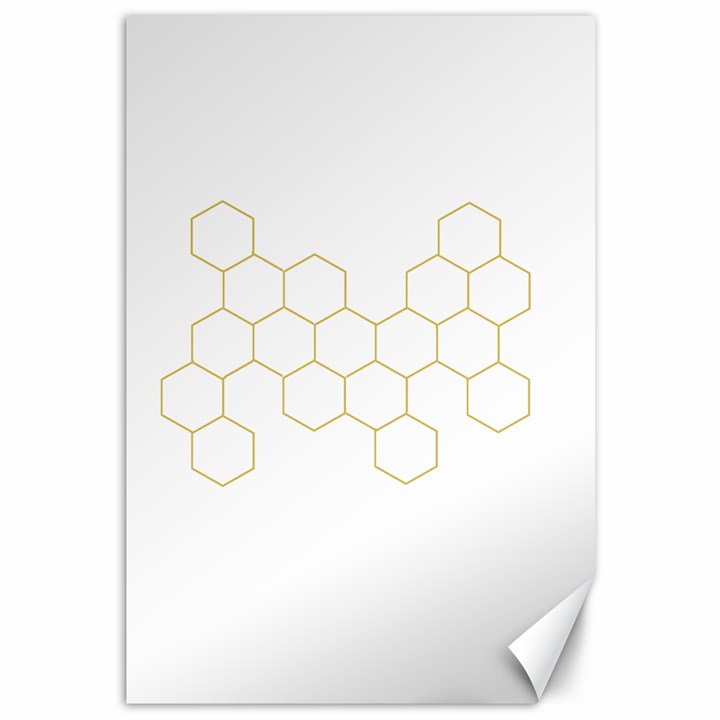 Honeycomb pattern graphic design Canvas 12  x 18 