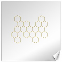 Honeycomb Pattern Graphic Design Canvas 16  X 16 