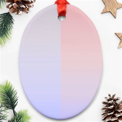 Colorful Colors Oval Ornament (two Sides)