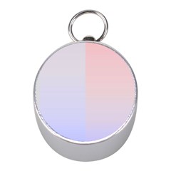 Colorful Colors Mini Silver Compasses