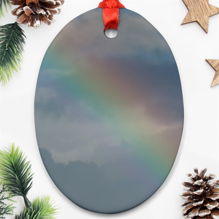 Rainbow in the sky Ornament (Oval) 