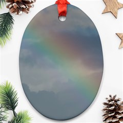 Rainbow In The Sky Oval Ornament (two Sides)