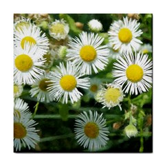 White Summer Flowers, Watercolor Painting Tile Coasters by picsaspassion