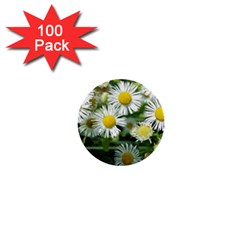 White Summer Flowers, Watercolor Painting 1  Mini Buttons (100 Pack) 