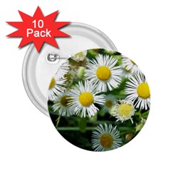 White Summer Flowers, Watercolor Painting 2 25  Buttons (10 Pack) 