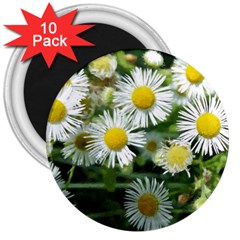 White Summer Flowers, Watercolor Painting 3  Magnets (10 Pack) 