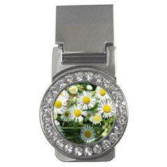 White Summer Flowers, Watercolor Painting Money Clips (cz) 