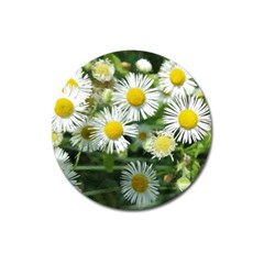 White Summer Flowers, Watercolor Painting Magnet 3  (round)