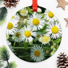 White Summer Flowers, Watercolor Painting Round Ornament (two Sides) 