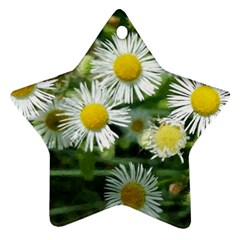 White Summer Flowers, Watercolor Painting Star Ornament (two Sides) 