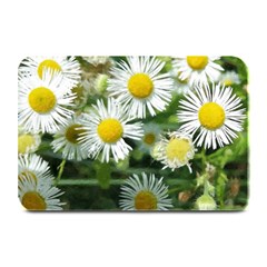 White Summer Flowers, Watercolor Painting Plate Mats