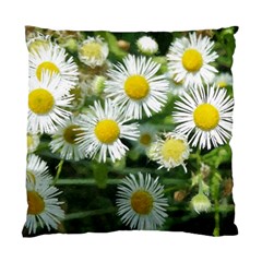 White Summer Flowers, Watercolor Painting Standard Cushion Case (one Side)