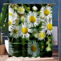 White Summer Flowers, Watercolor Painting Shower Curtain 60  X 72  (medium) 