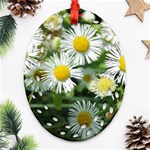 White summer flowers, watercolor painting Oval Filigree Ornament (2-Side)  Back