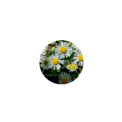 White Summer Flowers Oil Painting Art 1  Mini Buttons