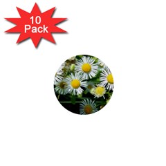 White Summer Flowers Oil Painting Art 1  Mini Buttons (10 Pack) 