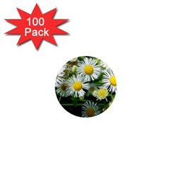 White Summer Flowers Oil Painting Art 1  Mini Magnets (100 Pack) 