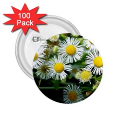 White Summer Flowers Oil Painting Art 2 25  Buttons (100 Pack) 